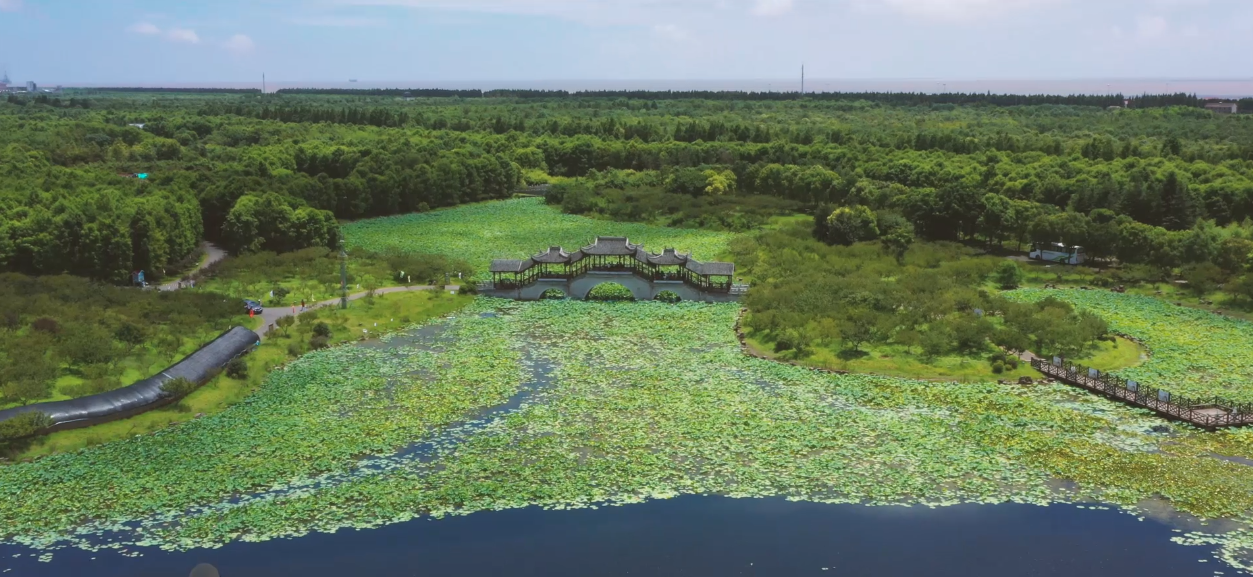 海湾镇:火车头广场奏响追梦乐章